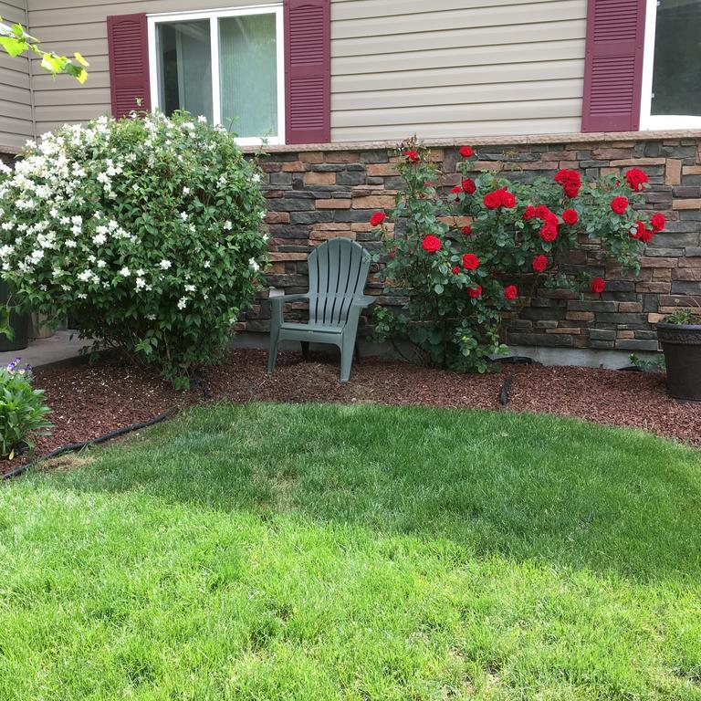 A Day'S Dream B&B Peachland Exterior foto